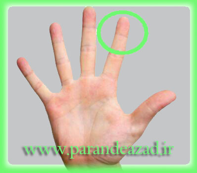  فشاردرمانی,یوگا,یوگاکرج,یوگا کرج,ماساژدرمانی,بازتاب درمانی,کلاس یوگا,یوگا استان البرز,آرامش,سلامتی,باشگاه یوگا پرنده آزاد,